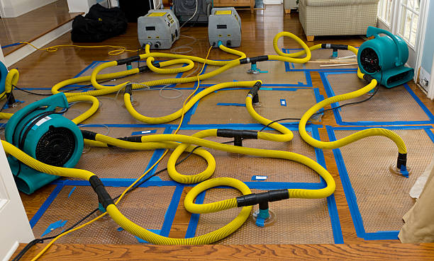 Professional Basement Flood Cleanup technician working in Potrero, CA